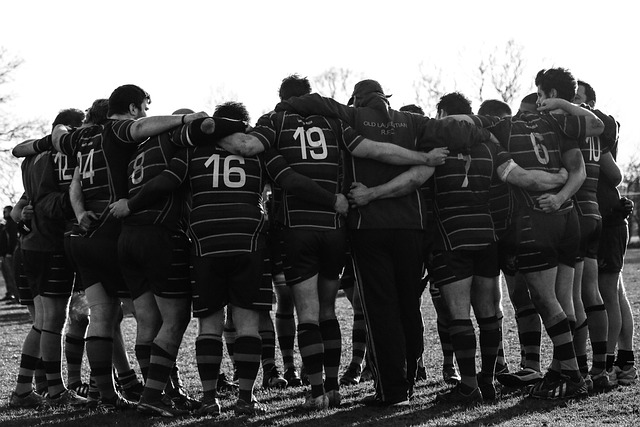 British and Irish Lions odds深度分析與投注策略