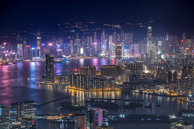 橄欖球監管合規<br>香港投注必讀